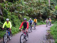 Cycling tour at Thattekkad Bird Sanctuary, Kerala.