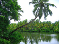 Village Intereous of Alleppey